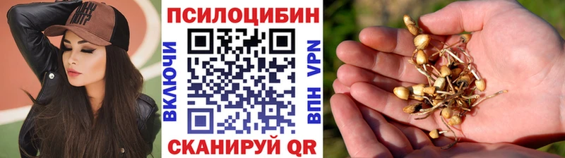 Галлюциногенные грибы MAGIC MUSHROOMS Бахчисарай
